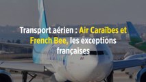 Transport aérien : Air Caraïbes et French Bee, les exceptions françaises