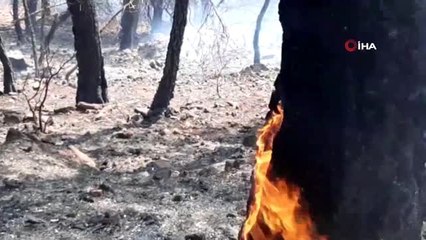 Ortaca'daki yangın devam ediyor