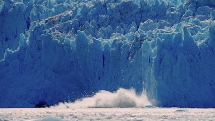 Gigantescos bloques de hielo se desprenden de un glaciar en Alaska generando una enorme ola