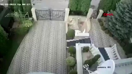 Bombalı paketi açan rektörün eli koptu