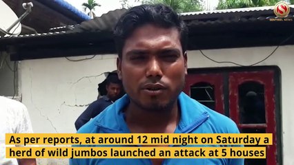 Man-Elephant Conflict: Locals spend sleepless night at Bihali in Biswanath