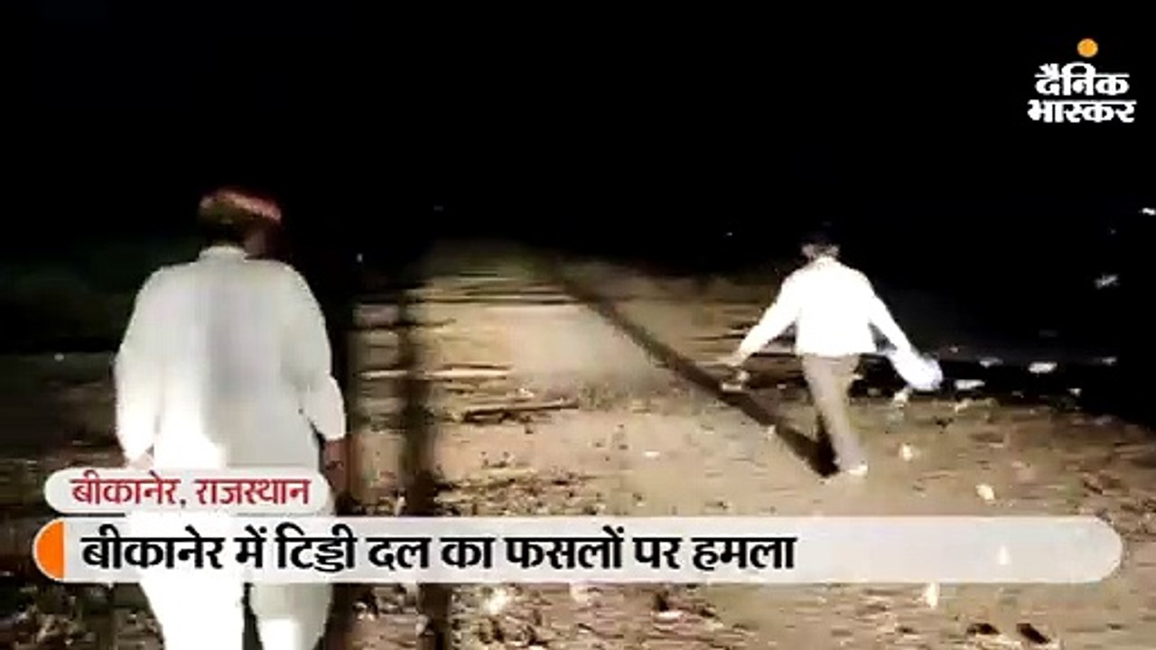 सीमा पार से टिड्डियों को आना जारी, किसान थाली-पीपे बजाकर भगा रहे तो प्रशासन करवा रहा स्प्रे