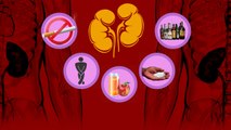 Kidney Failure Symptoms | சீறுநீரகம் சம்பந்தப்பட்ட பிரச்சனைகள்| Kidney Stone