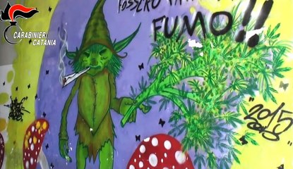 Catania - Rimosso a Librino il murales della droga usato dai neomelodici (14.09.19)