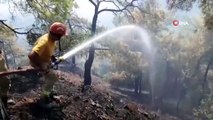 Ortaca'daki orman yangın kısmen kontrol altına alındı