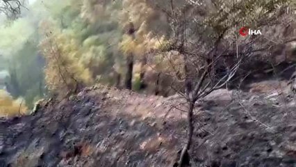 Ortaca'daki orman yangın kısmen kontrol altına alındı