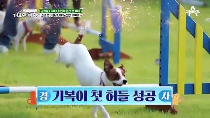 타고난 선수?! 희철도 놀란 기복이의 어질리티 실력은?!