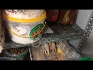 RTV Ora - Vinte nga Brazili, bllokohen 27 ton fileto pule me salmonelë në Durrës