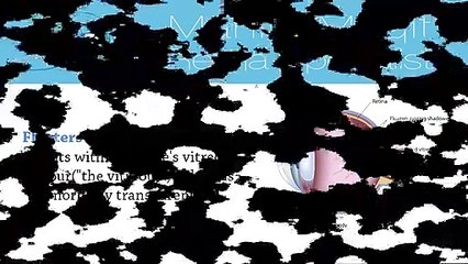 Floaters  Treatment By Mahi Mukit