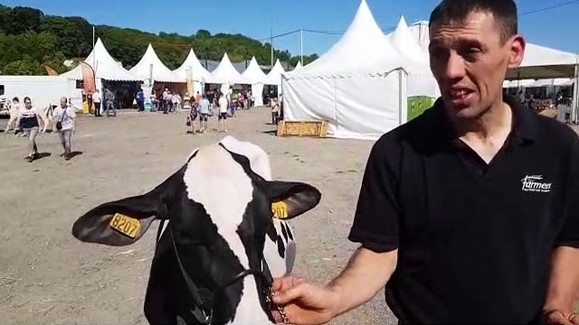 Verdun Expo - Concours agricole : Odalavie remporte la section génisse 2B