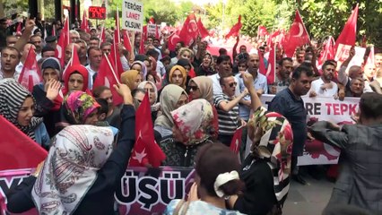 'Teröre Lanet, Kardeşliğe Davet' mitingi - SİİRT