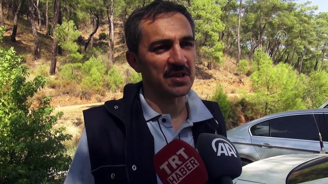 Ortaca ilçesinde çıkan orman yangını kontrol altına alındı - MUĞLA