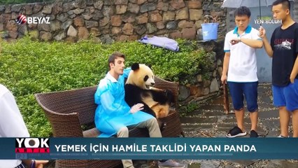 Yok Artık 14 Eylül 2019