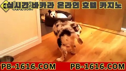 #골드ㅋㅏㅈㅣ노 [#영화안시성] [#신과함께2] #토xh 주소▶pb-1414.com◀ㄱㄱ #ㅅㅏ이트 [#영화안시성]