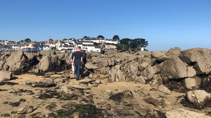 Douarnenez. L’île Tristan révèle ses secrets