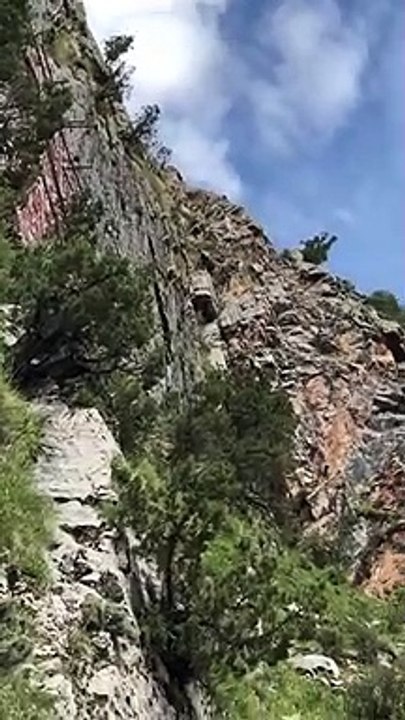 Ces chèvres défient la gravité en descendant cette montagne vertigineuse