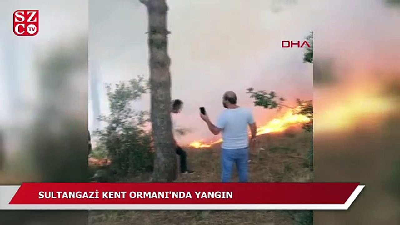 İstanbul'da orman yangını!