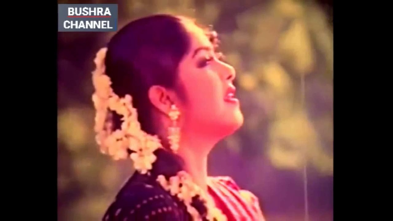 আমি বনফুল গো/Ami bonoful go-  শিল্পী - সাবিনা ইয়াসমিন.