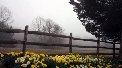 John Padovano - Coffeehouse april 14th 2019