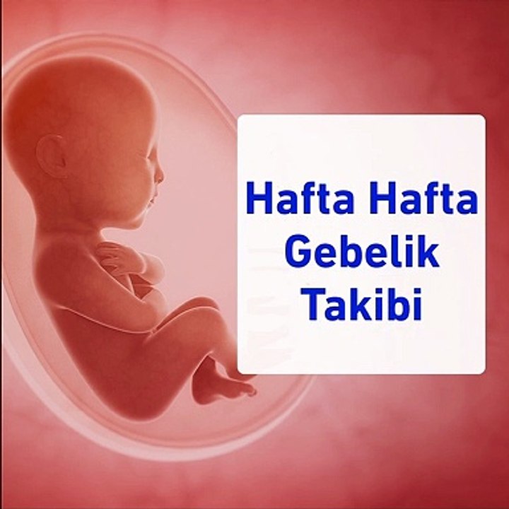 Hafta hafta gebelik takibi - www.irfantarhan.com
