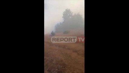 Zjarr i fuqishëm në pyjet e Lurës/ Flakët rrezikojnë disa banesa në fshatin Vlashaj