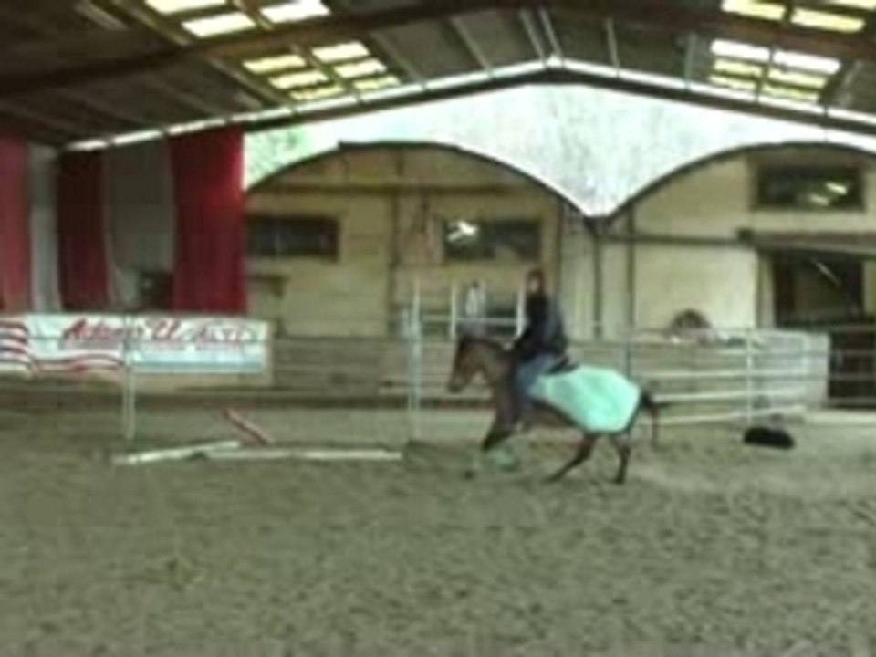 Poney western version saut d'obstacle