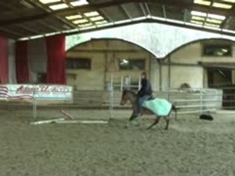 Poney western version saut d'obstacle