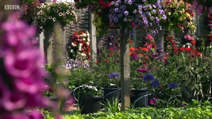 Blue Peter Bite-S04e18-Seeds-7