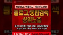 블로그운영대행〖LJVIRAL.CoM〗웹사이트광고