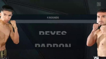 Reyes, Padron Highlights