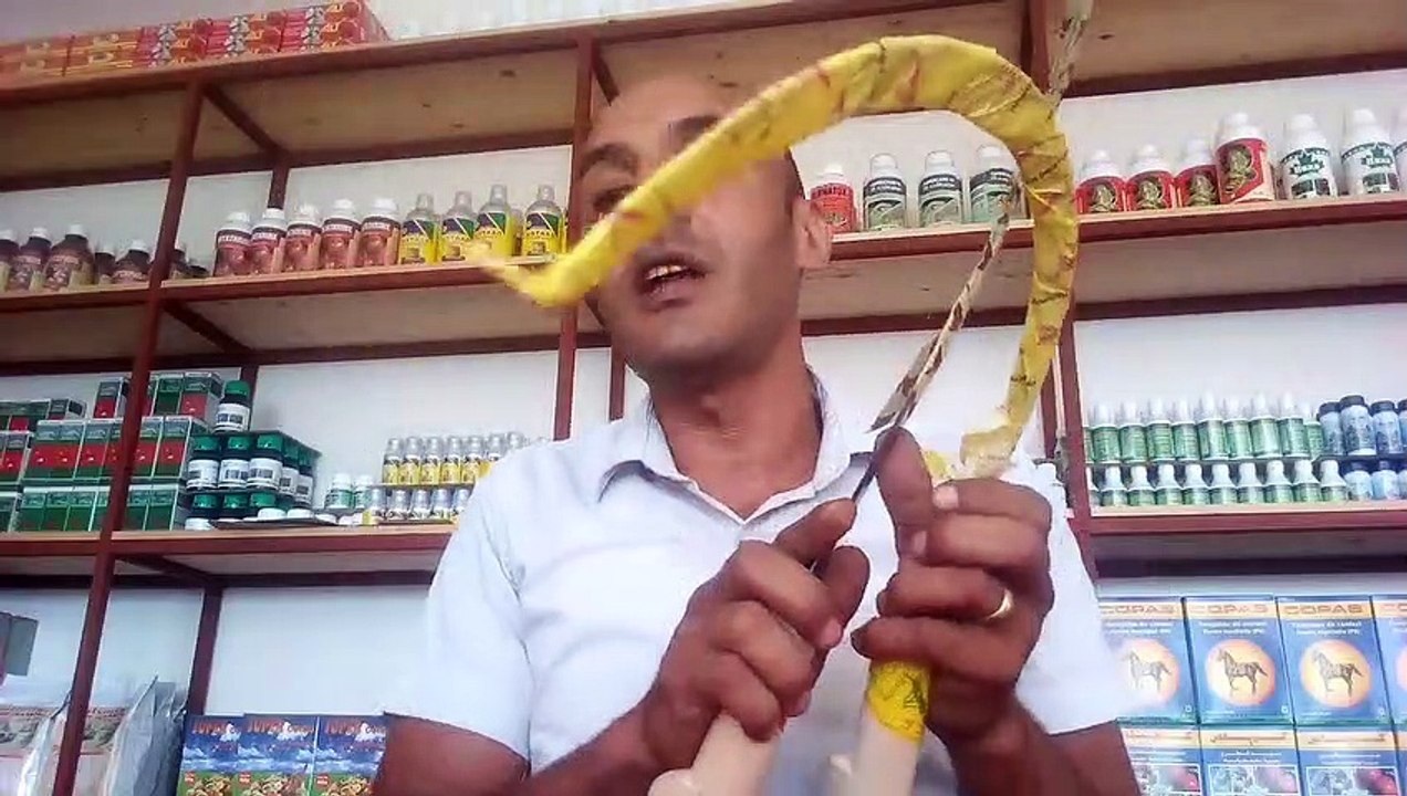 ‫جوا منجل