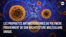 Un nouveau polymère autostérilisant efficace contre des bactéries et des virus