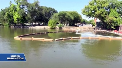 Washington'daki Potomac Nehri'nde Yüzmek Mümkün Olacak mı?