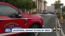 Firefighters: Infant, four others stung by bees at Chandler Fashion Center