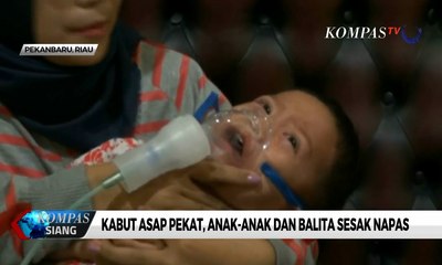 Kabut Asap Pekat Selimuti Kota Pekanbaru, Anak-Anak dan Balita Sesak Napas