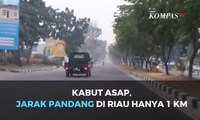 Kabut Asap di Riau: Kualitas Udara Lebihi Batas Normal, Jarak Pandang Hanya 1 Km