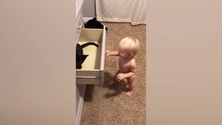 Funny Baby Playing With Baby Animals - Funny Fails Baby Video