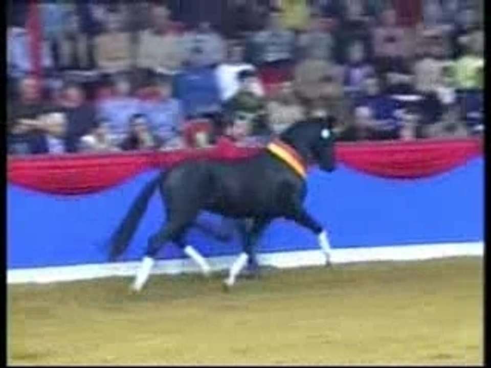 HilkensBlackDelight