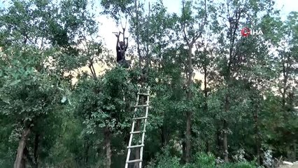 Köylüler birlikte çalışarak kışa hazırlanıyor