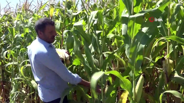 733 milyonluk yatırım bitmeden, çiftçiye katkı sağlamaya başladı