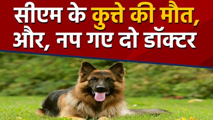 Telangana के CM Chandrashekhar Rao के कुत्ते की मौत पर कार्रवाई । वनइंडिया हिंदी