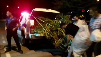 Metrelerce uzunlukta kenevirlerin bulunduğu tarlaya polis baskını