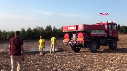 Tekirdağ malkara'da çıkan orman yangınında 800 ağaç zarar gördü