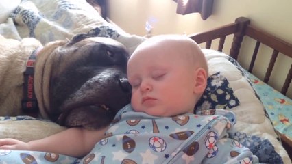 Funny Babies and Dogs are Best Friends - Fun and Fails Baby Video 2019