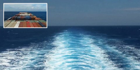 Los suecos de IKEA transmiten "en vivo" el viaje del barco que transporta sus populares muebles a Australia