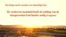 ‘De verdorven mensheid heeft de redding van de vleesgeworden God harder nodig’ (Fragment II)