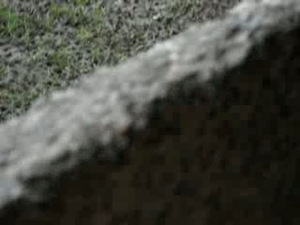 WOSHIGOAL
