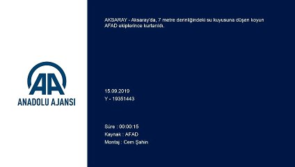 Kuyuya düşen koyun kurtarıldı - AKSARAY