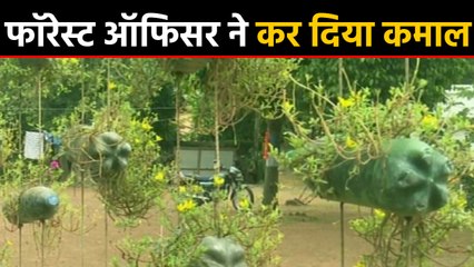 West Bengal: Forest Officer  ने प्लास्टिक की बोतलों से बनाया Garden । वनइंडिया हिंदी
