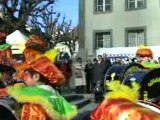 les canetons carnaval Fribourg